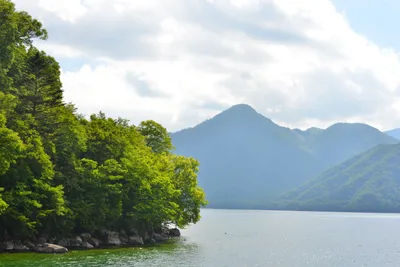 DSC_3934 (Large).JPG